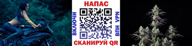 купить   Горбатов  Бошки марихуана сатива 